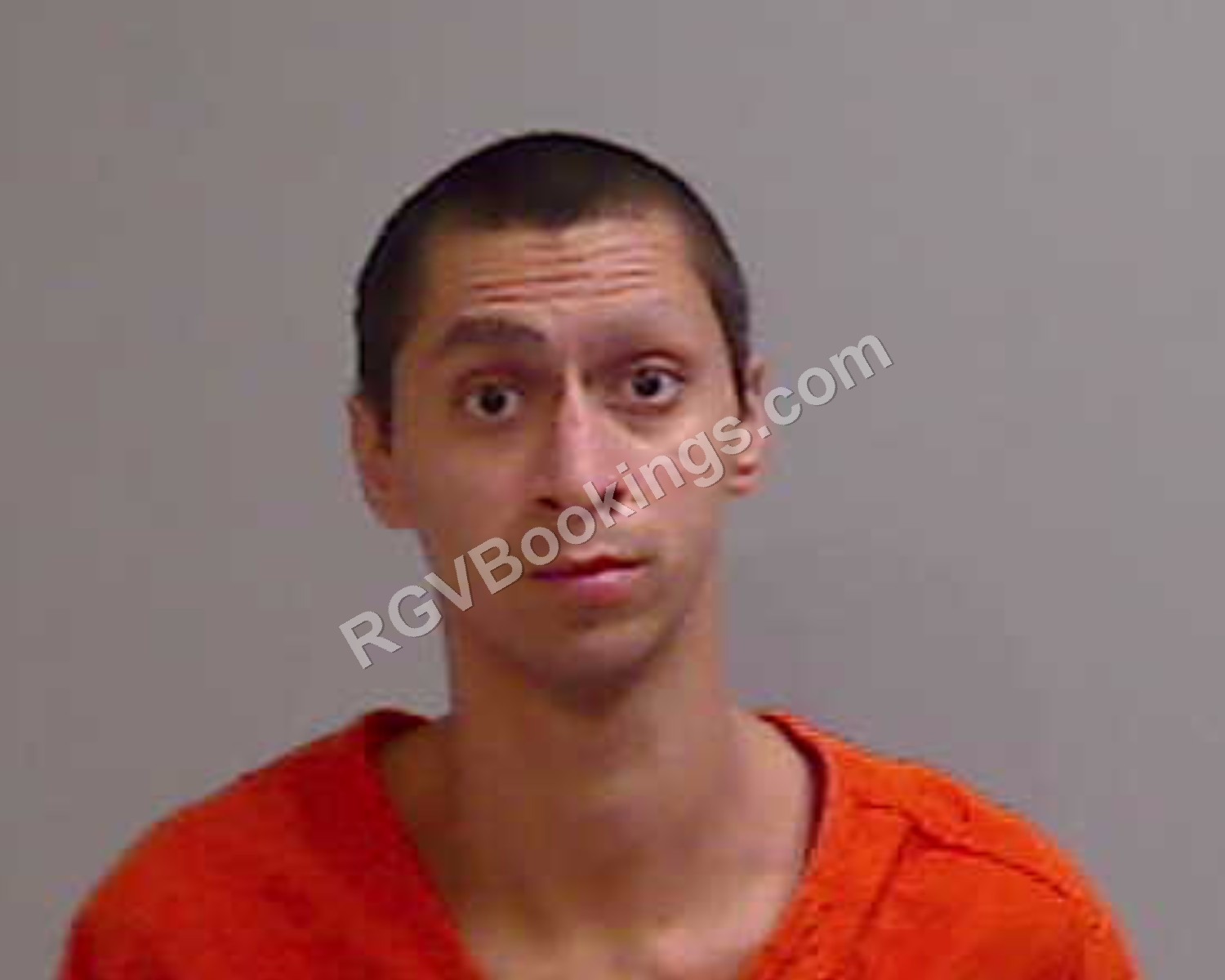 Mcallen, Tx mugshot