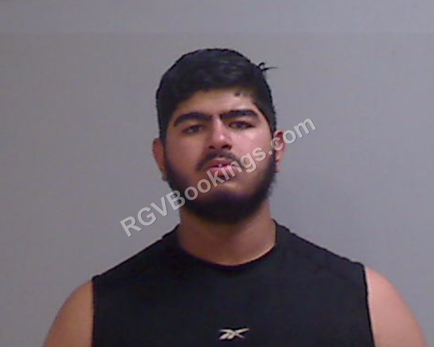 Aleman, Roy