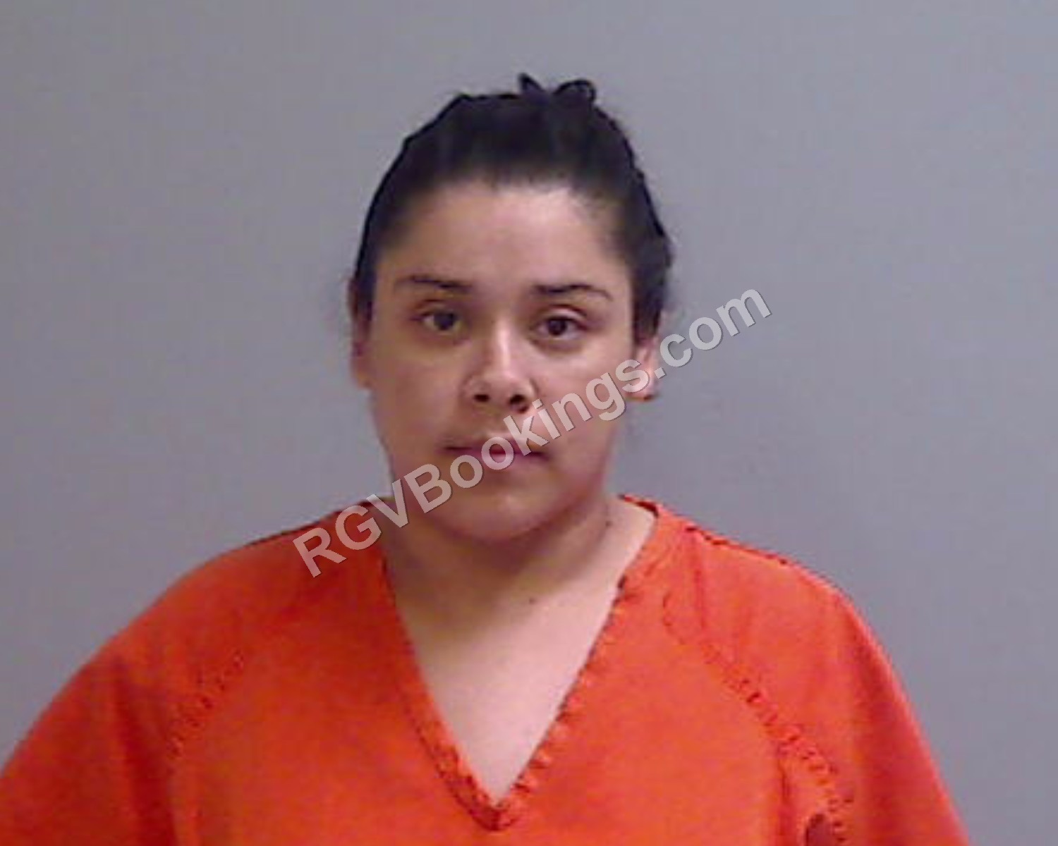Hernandez, Judith mugshot Hidalgo County