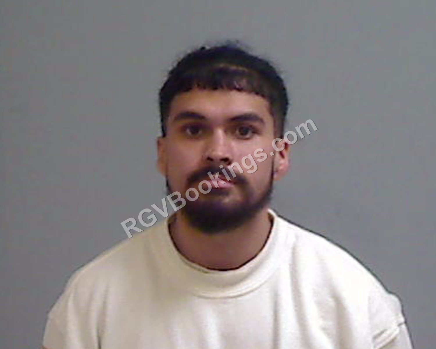 Edwards, Daniel mugshot Hidalgo County