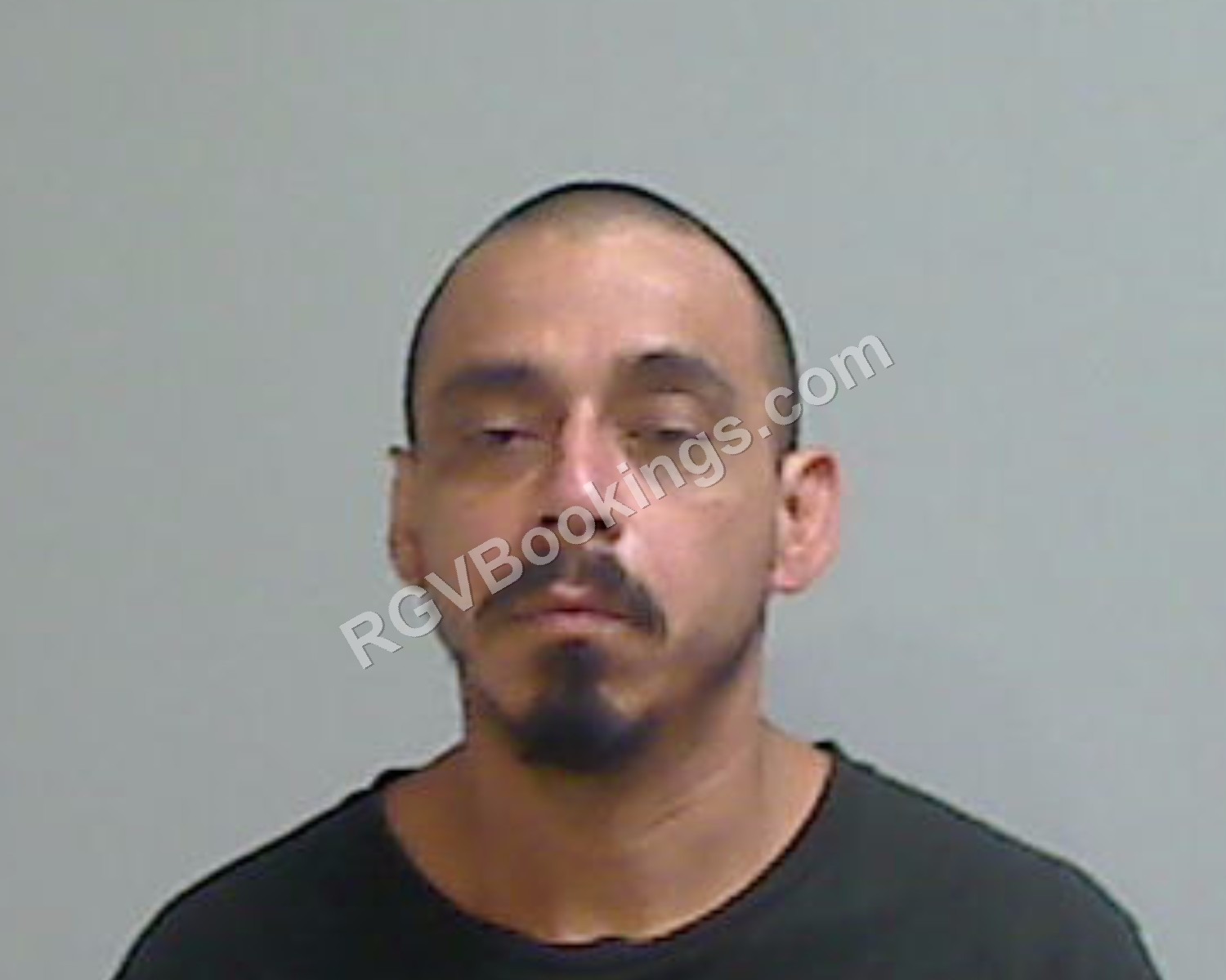 Lozoya, Moises