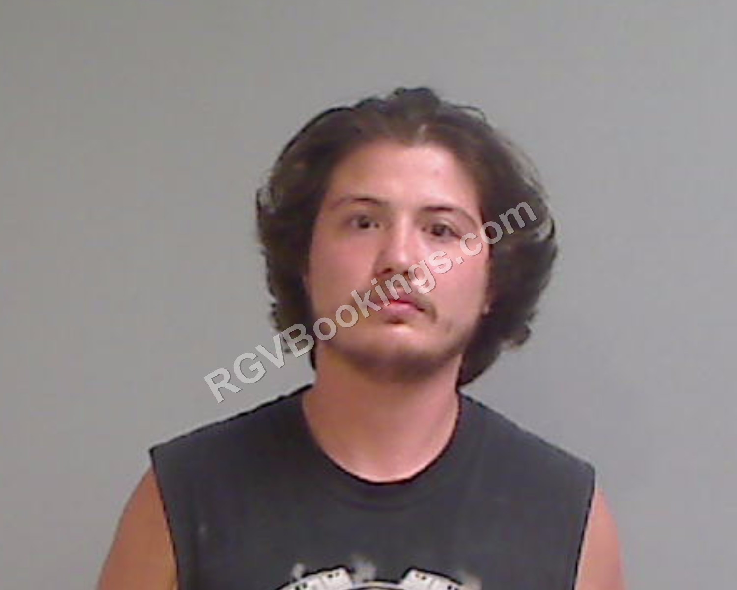 Castaneda, Dylan