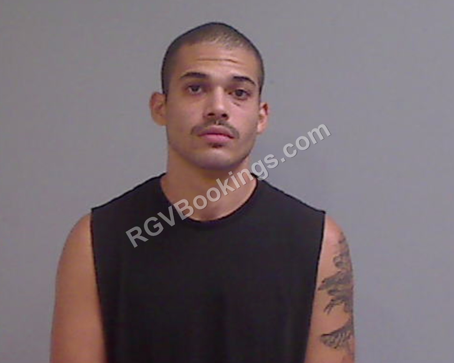 Williamson, Kaleb