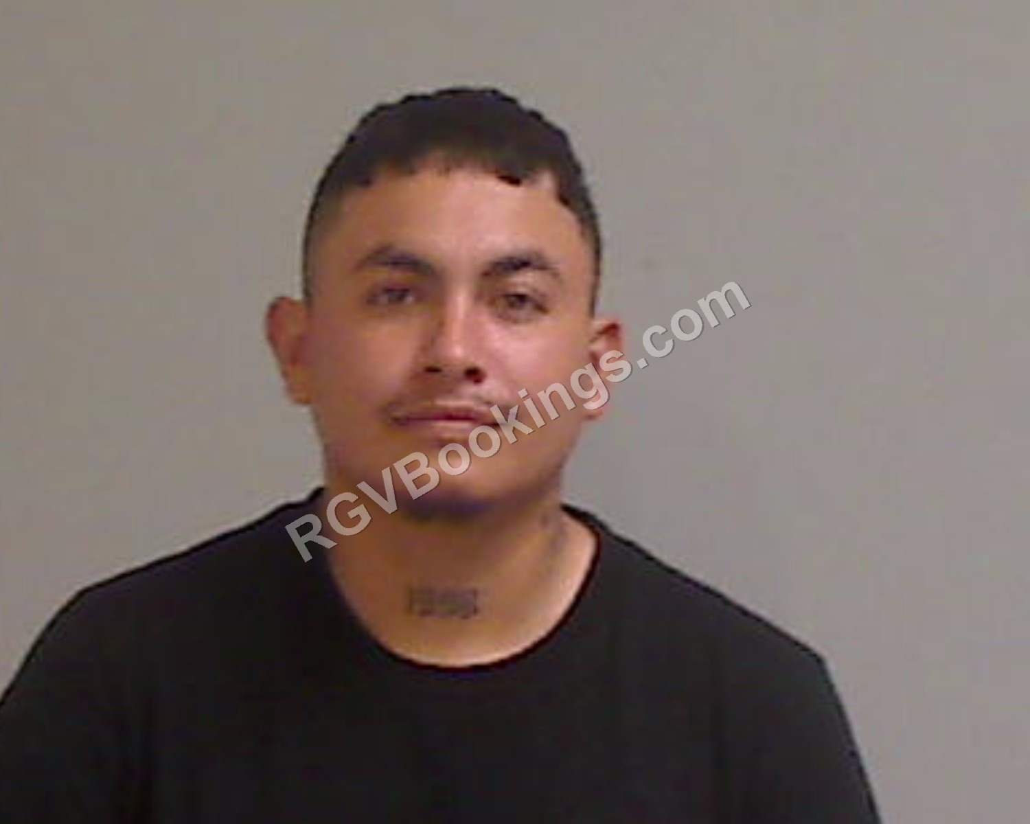 Alvarado, Noel