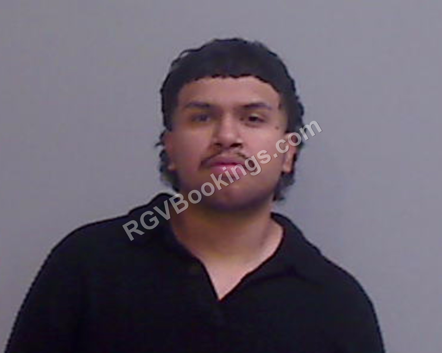 Sanchez, Job