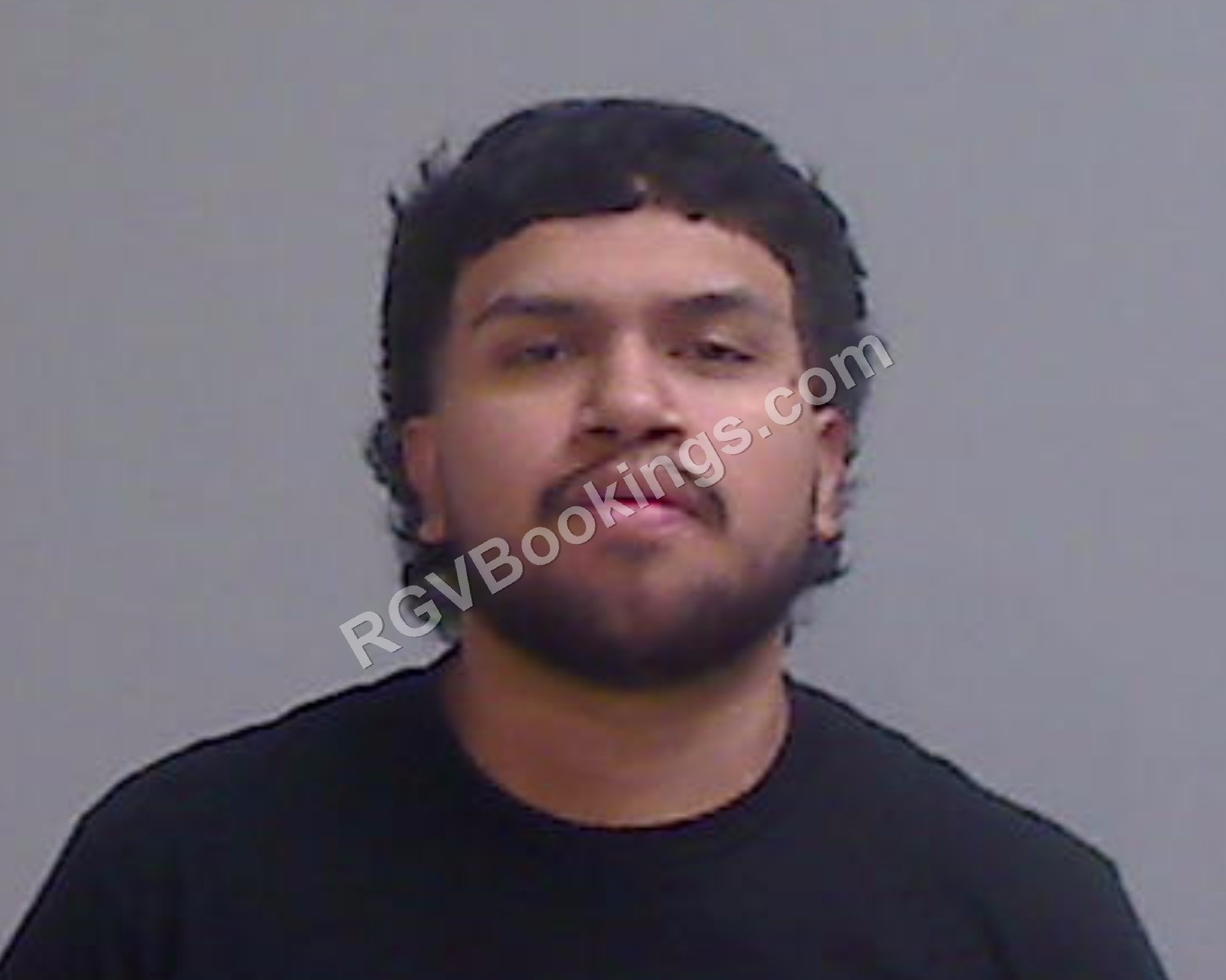 Sanchez, Job
