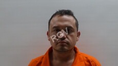 Paz, Alejandro