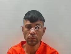 Rodriguez, Salazar