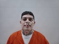 Hernandez, Xander