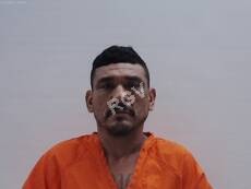 Mendoza, Trejo