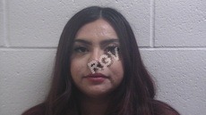 Cerda, Laura