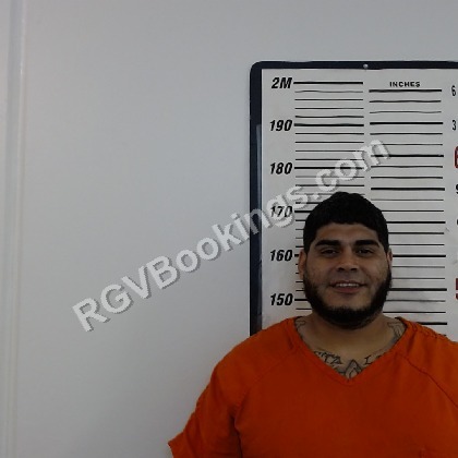 Alejandrez, Lee